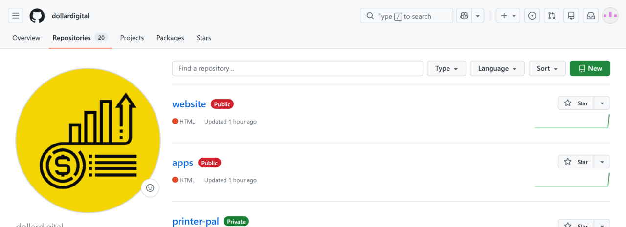 GitHub repository list with visibility badges colored green for private and red for public